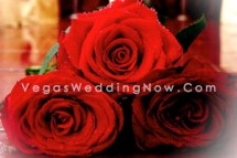 BergundyRoses hth