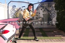 Elvis-pink-cadillac-front-gates-hth